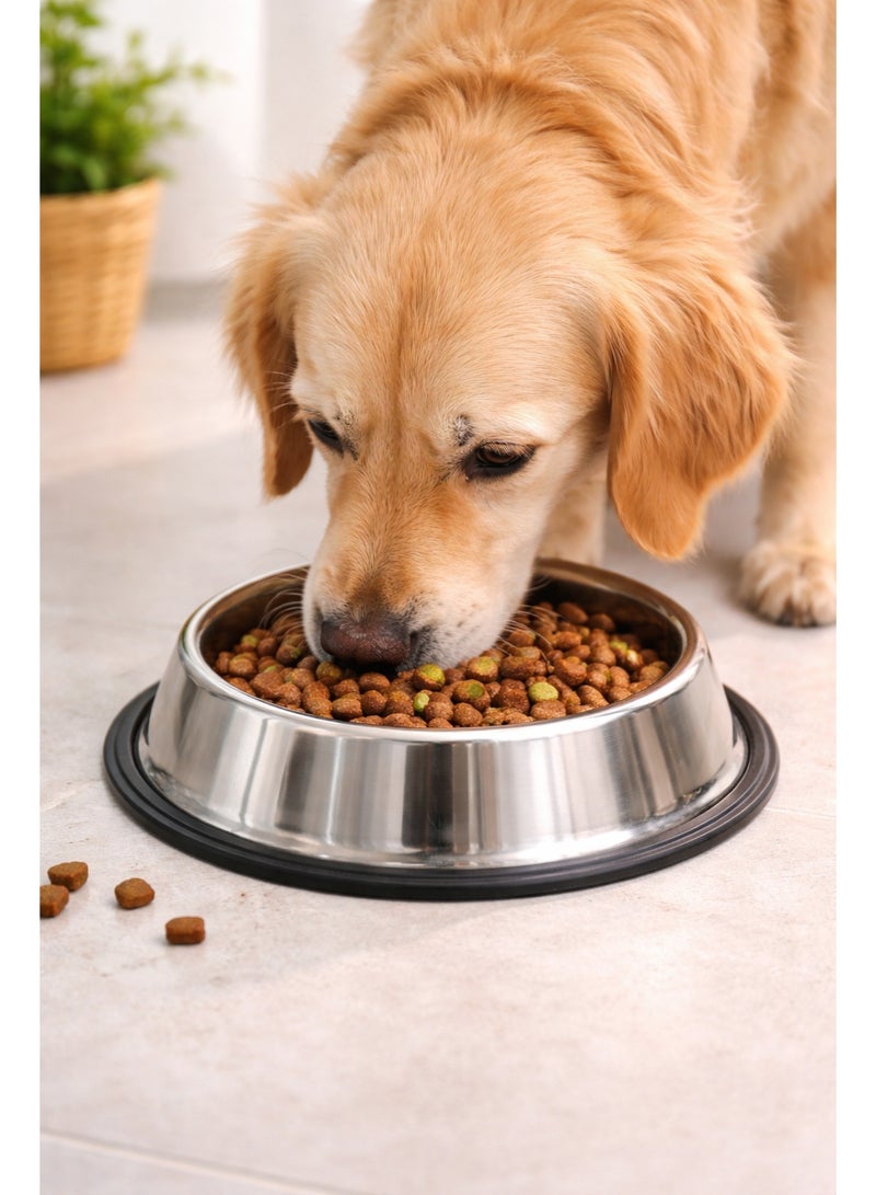 نونبيل وعاء طعام للكلاب من الفولاذ المقاوم للصدأ من نونبيل، بقاعدة مطاطية مانعة للانزلاق، 30 سم، تصميم مزدوج، مناسب للكلاب والقطط. - Image 3